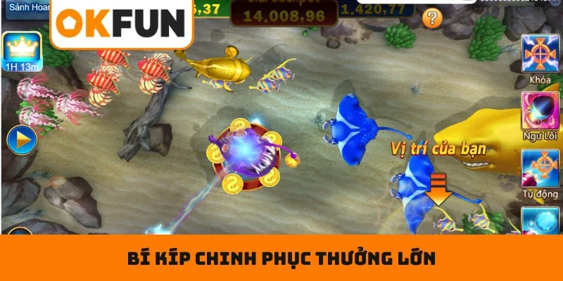 Bí kíp giúp newbie nhanh chóng chinh phục thưởng lớn